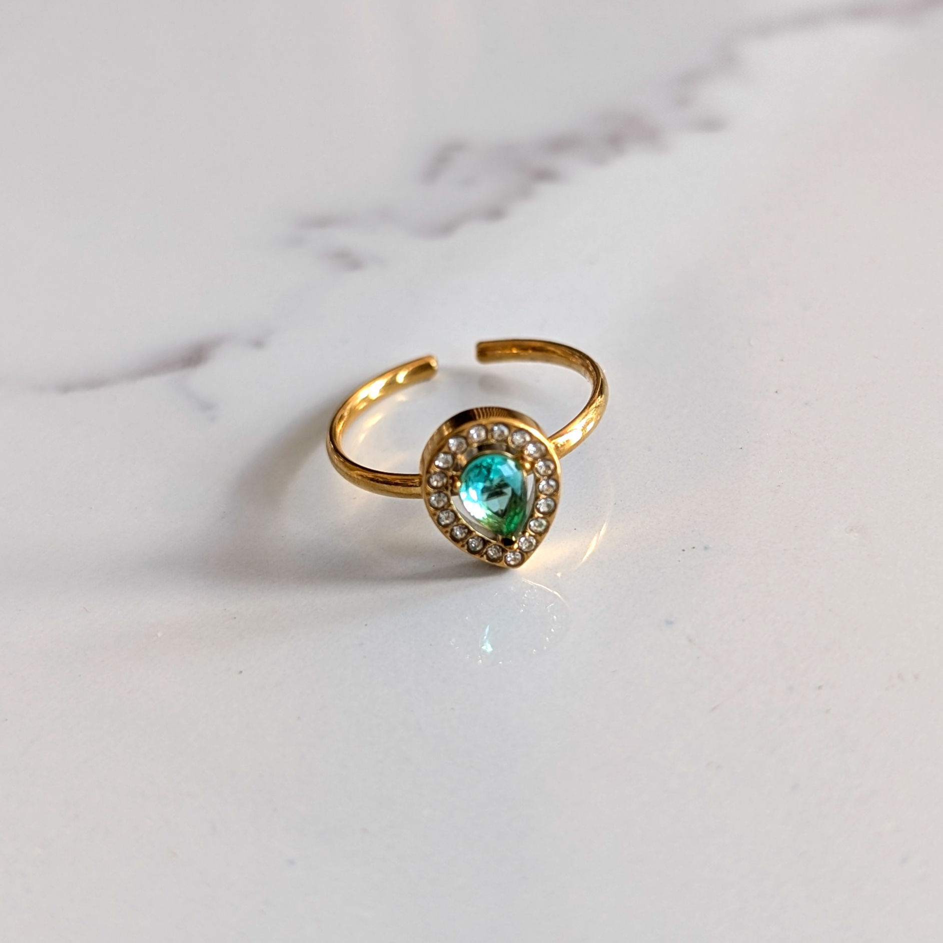 ANILLO VE01