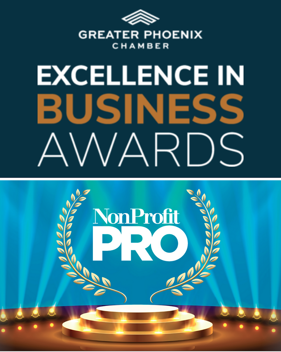 Examples of nonprofit awards