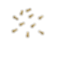 Untitled design (12).png