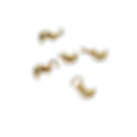 Untitled design (11).png