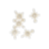 Untitled design (6).png