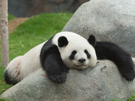 What Poor Sleep Does to Blood Sugar and the Eyes