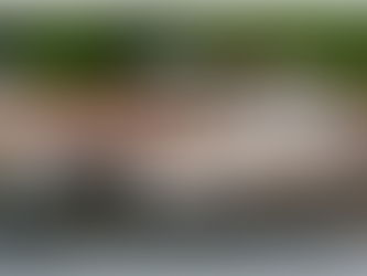 How Oxidative Stress Speeds Up AMD