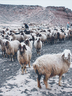 Excès de privilèges ?...et de process aussi