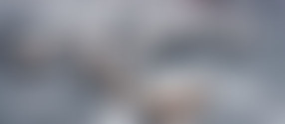 Many Folds, One Flock, One Shepherd!