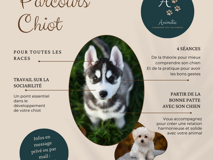 🐶 𝓟𝓪𝓻𝓬𝓸𝓾𝓻𝓼 𝓬𝓱𝓲𝓸𝓽 :