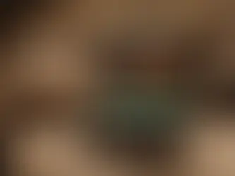 The Hidden Value of Finishing Your Basement: Exploring the Untapped Potential in Sarnia and Windsor, Ontario