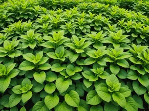 7 Essential Strategies to Keep Weeds at Bay in Your Chatham Low-Maintenance Landscaping