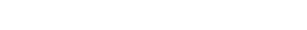 BIM E solutions White.png