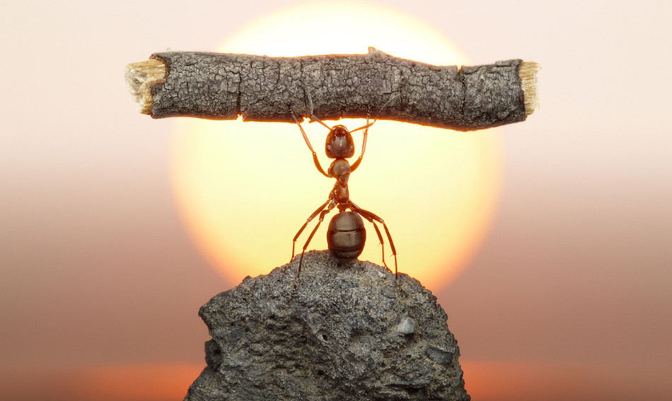 ¡Persevera!