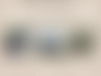 SLC ANNOUNCES 4TH ANNUAL EARTH DAY @ RID-ALL GREEN PARTNERSHIP