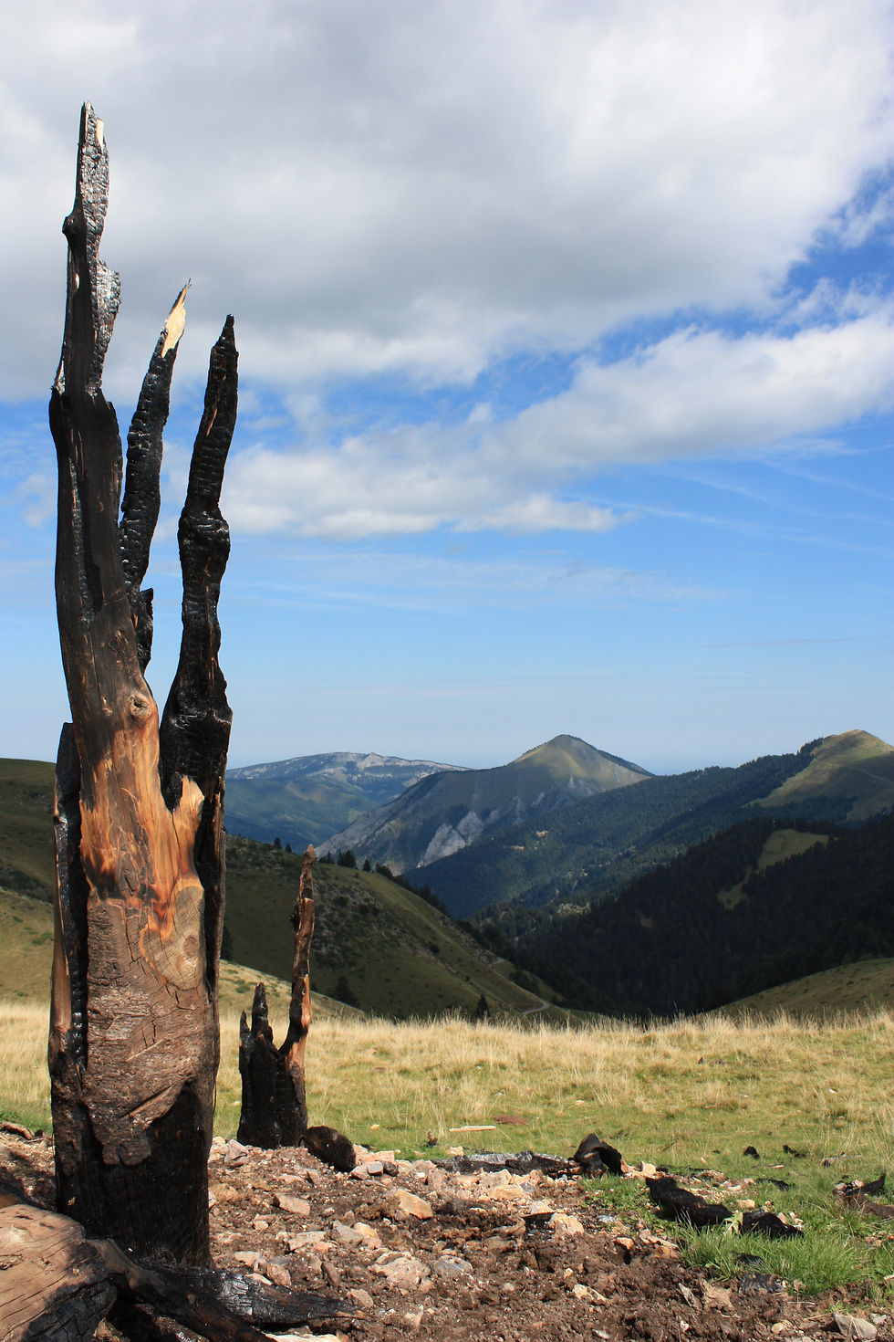Pyrénées
