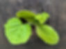 PXL_20240702_130944447.jpg