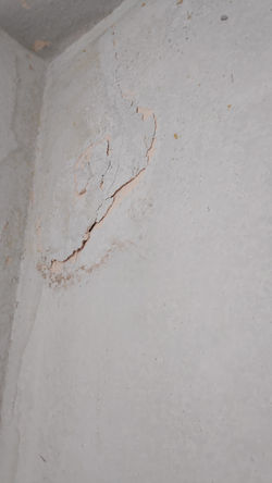 IMG_20210818_152825_1