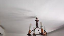 IMG_20210713_150351_1