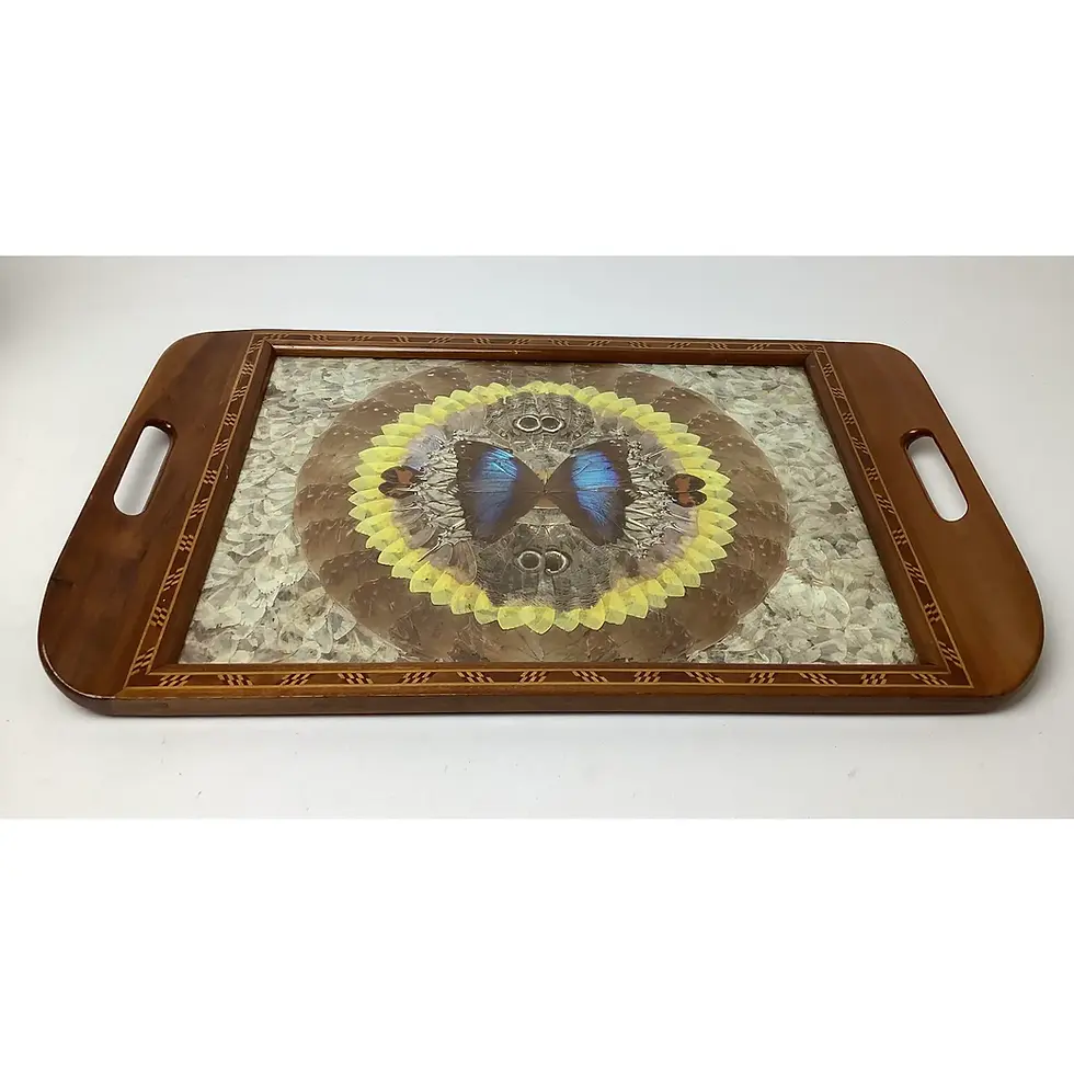 Thumbnail: Vintage Brazilian Inlaid Wood Tray With Real Morpho Butterfly Wings