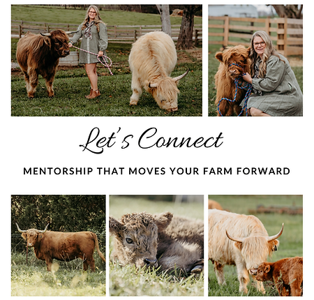 Beige and Cream Minimal Trend Style Fashion Photo Grid Instagram Post.png