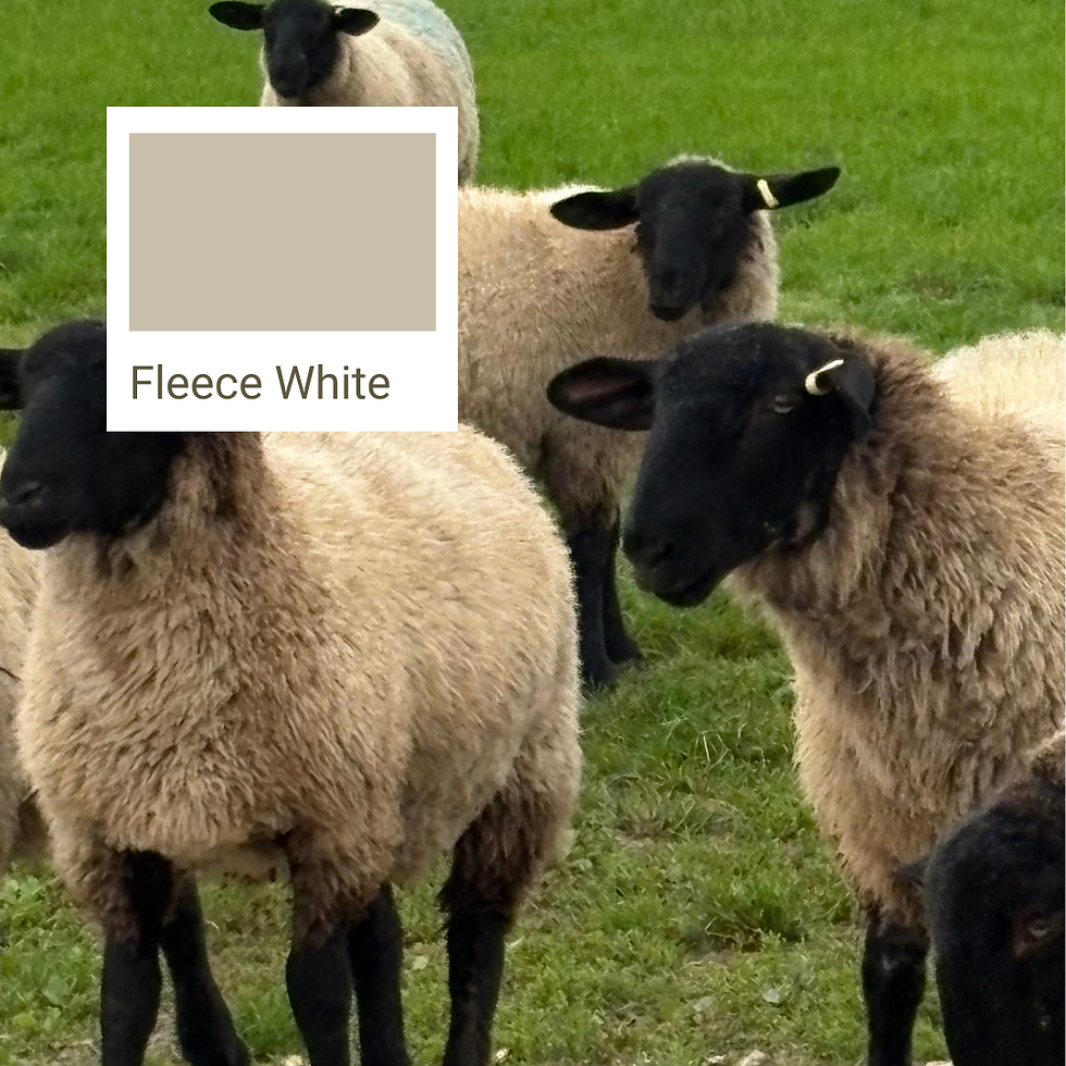Sheep with black faces and light fleece stand on green grass. A color swatch labeled "Fleece White" overlays the image.