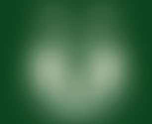 Bucks Make Counteroffers On Giannis Bid