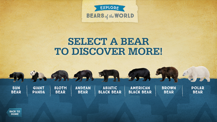 Interactive screen prompt titled "Select a Bear to Discover More!" with illustrations of eight global bear species.