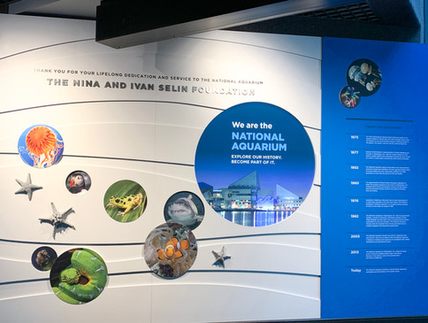 geckogroup_nationalaquarium11.jpeg