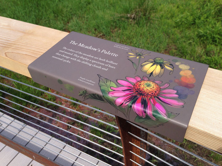 Interpretive rail panel with wildflower illustration – A panel titled “The Meadow’s Palette” featuring bright botanical illustrations of native flowers is mounted on a wooden railing.
