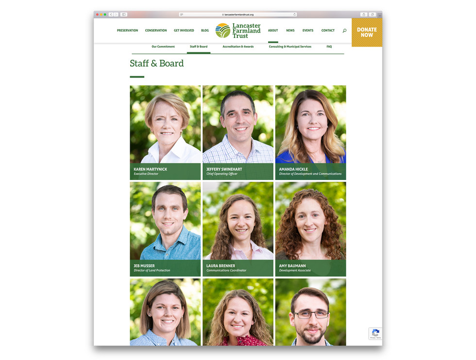 lft_geckogroup_website10.jpeg