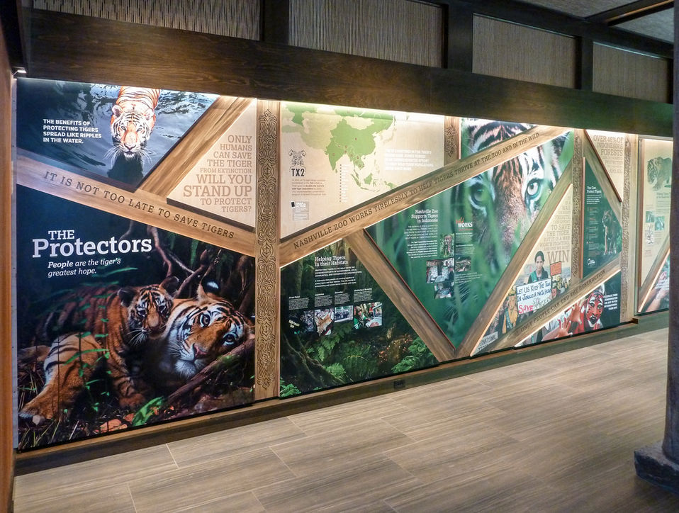 Exhibit wall titled “The Protectors” featuring large photos of tigers and conservation content.