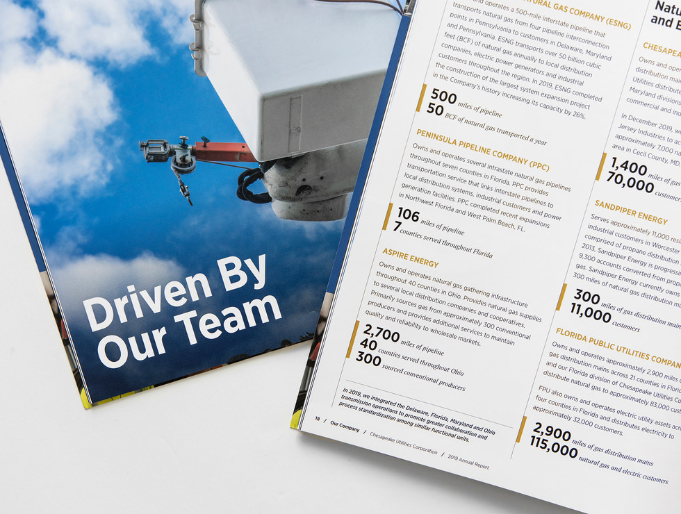 annual-report-spread-5