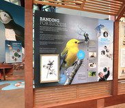 gecko_audubon_11.jpeg