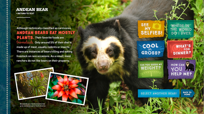 Educational screen about the Andean bear's diet, featuring a photo of the bear and surrounding foliage, with interactive buttons like "What's for Dinner?" and "Where Do I Live?".