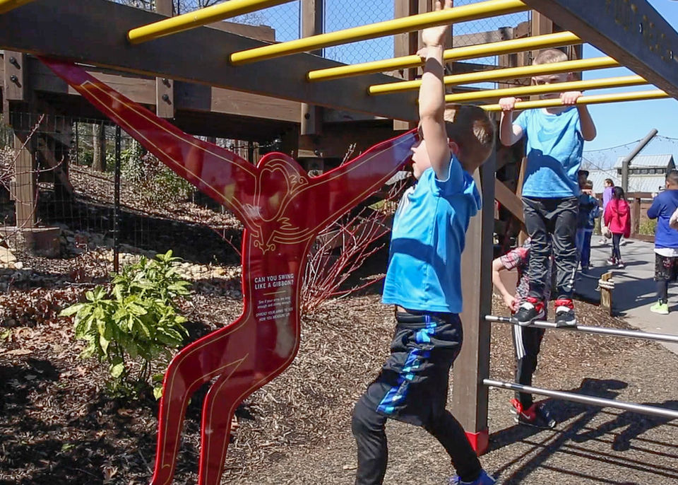 Children using monkey bars near gorilla figure – Kids climb a set of yellow bars while a red metal gorilla-shaped cutout invites them to “swing like an ape” at the outdoor play structure.