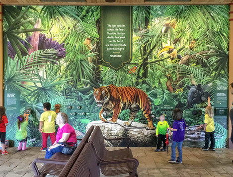 exhibit-wall-mural
