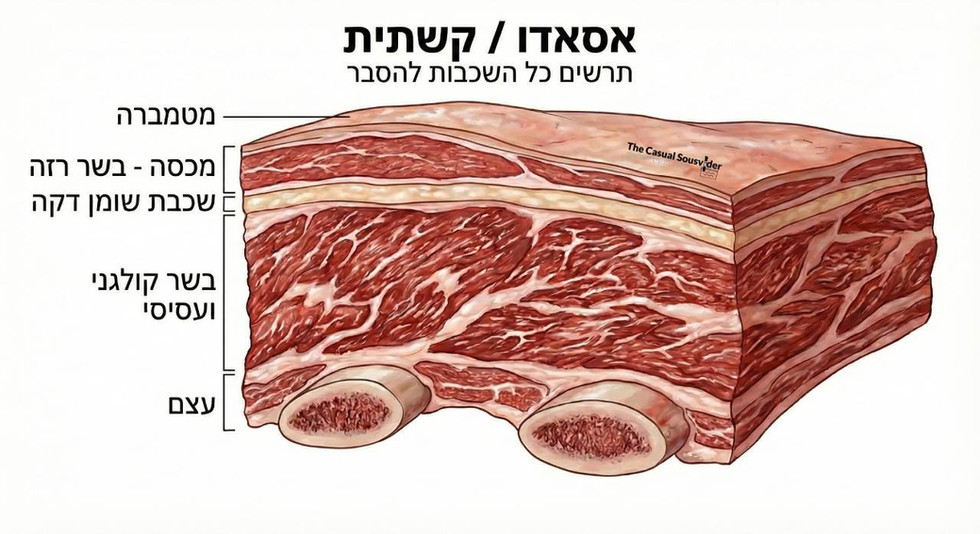 מבנה אסאדו קשתית