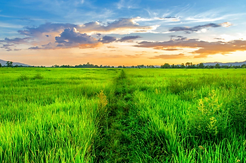 Screenshot (277).png