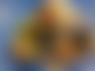 Half Guard Control Fundamentals