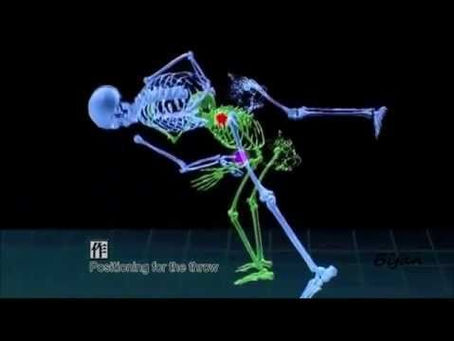 MOMENTUM & CENTER OF GRAVITY