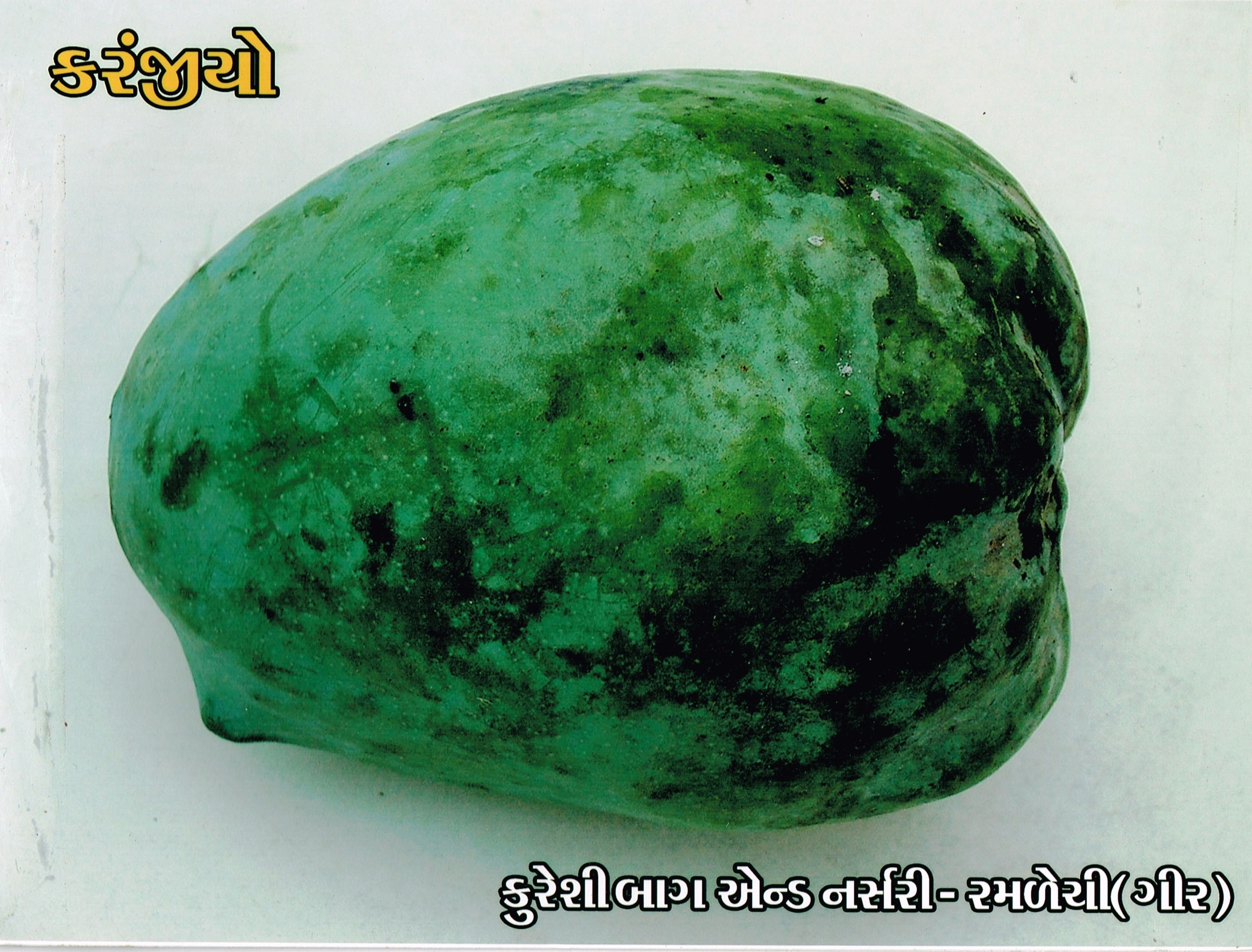 KARANJIYO MANGO