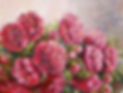 IMG-20210610-WA0001