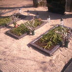 mms_img1663236977