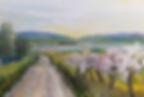 IMG-20210422-WA0011