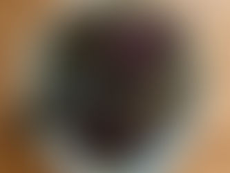 Norwegische Frauen bringen Seetang an die Spitze der europäischen Küche 23/04/2024