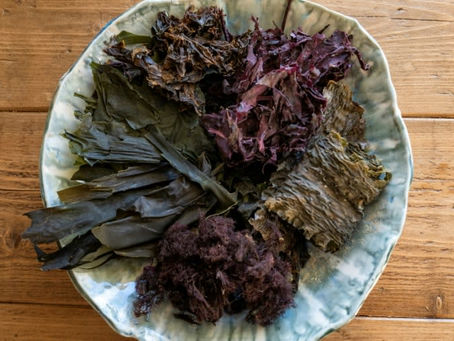 Norwegische Frauen bringen Seetang an die Spitze der europäischen Küche 23/04/2024