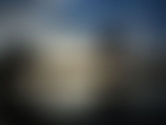 Die Hälfte der Mangroven-Ökosysteme ist bedroht: Naturschützer 24/05/2024