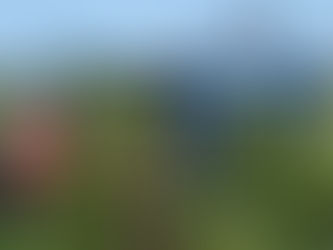 Herbizid in den USA wegen möglicher Verbindung zu Parkinson unter Beobachtung 18/01/2025