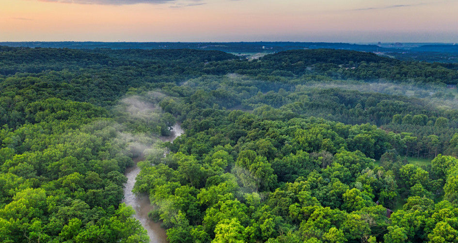 Bildnachweis: Pexels / Tom Fisk Ein Wald