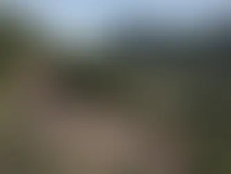 Die Komoren haben zwischen 1995 und 2014 80 Prozent ihrer natürlichen Wälder verloren, so ihr Umweltminister (MARCO LONGARI).MARCO LONGARI/AFP/AFP