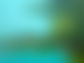 Die Bijagós-Inseln (Guinea-Bissau), die zum UNESCO-Biosphärenreservat gehören, beherbergen unberührte Strände und versteckte Buchten voller Artenvielfalt. Foto: Unsplash