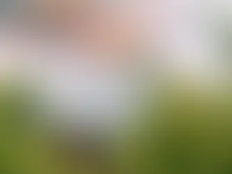 „Es ist unerträglich“: Hitzewellen versengen Süd- und Osteuropa. 21/07/2024