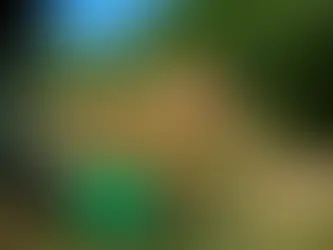 In den belgischen Ackerlandschaften, „Bambi retten”, eine Mission bei Tagesanbruch nach der anderen 4/07/2024